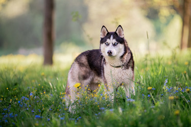 Similar image 21294327