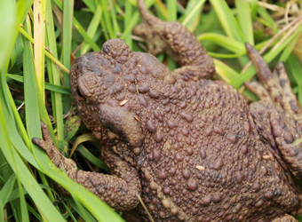 Similar image 21292986