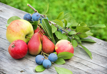 Similar image 21319136