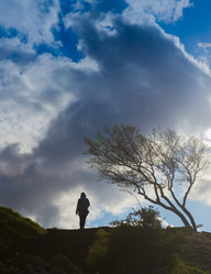 Similar image 21341405