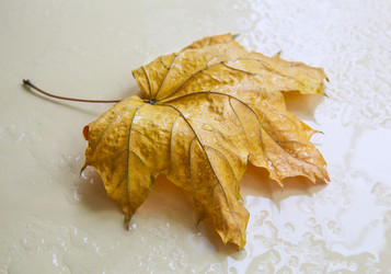 Similar image 21319650