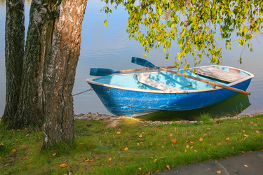 Similar image 21319376