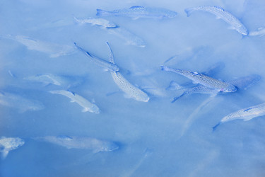 Similar image 21320539