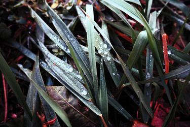 Similar image 21343106