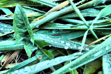 Similar image 21343146