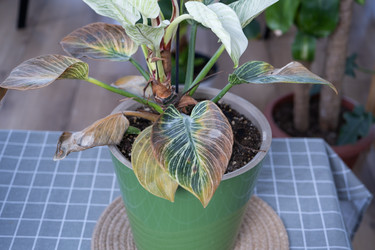 Similar image 21305794