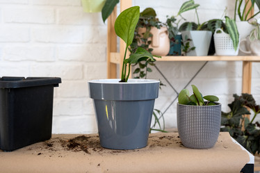 Similar image 21305799