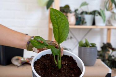 Similar image 21305800