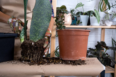 Similar image 21305802