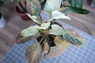 Similar image 21305813