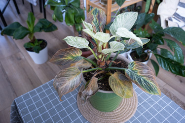 Similar image 21305815