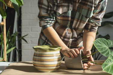 Similar image 21305818