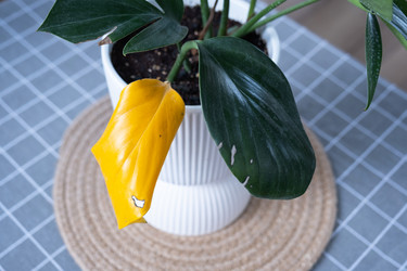 Similar image 21305823