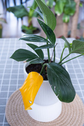 Similar image 21305825