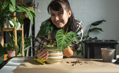 Similar image 21305826