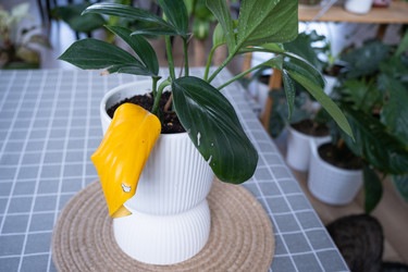 Similar image 21305827