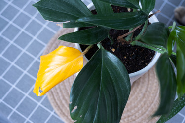 Similar image 21315785