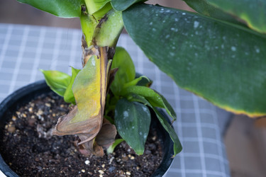 Similar image 21315787