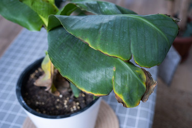 Similar image 21315793