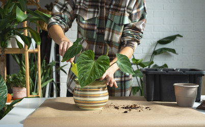 Similar image 21315794