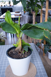 Similar image 21315795