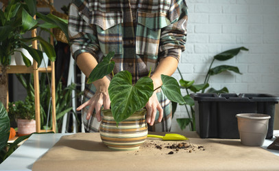 Similar image 21315796