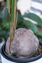 Similar image 21315797