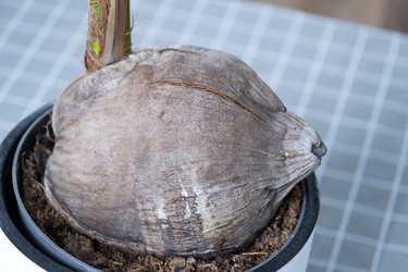 Similar image 21315801