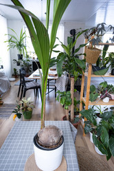 Similar image 21315803