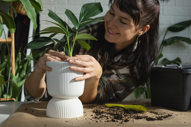 Similar image 21315897