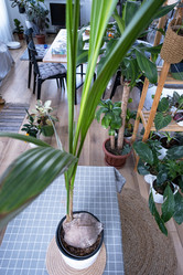 Similar image 21305837