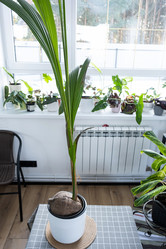 Similar image 21305841