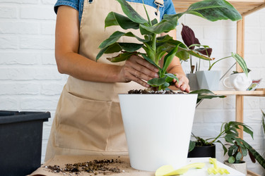 Similar image 21305859