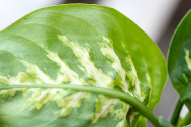 Similar image 21305866