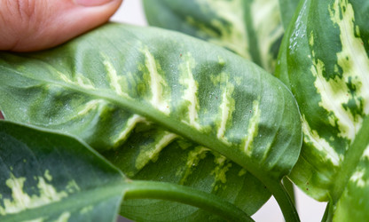 Similar image 21305867