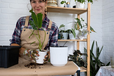 Similar image 21305872