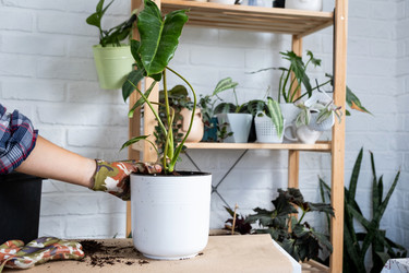 Similar image 21305873