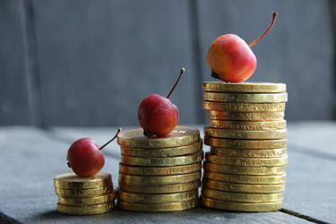 Similar image 21313885