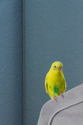 Similar image 21297195