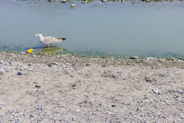 Similar image 21309095