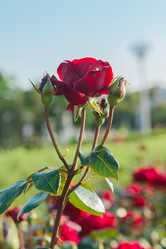 Similar image 21311143