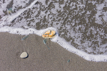 Similar image 21311145