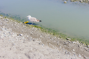 Similar image 21311154