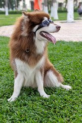 Similar image 21311157