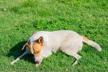 Similar image 21312362