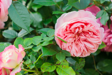 Similar image 21312363