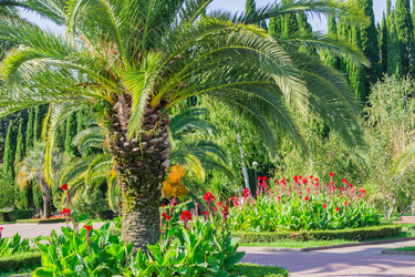 Similar image 21312366