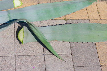 Similar image 21312385