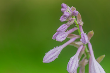 Similar image 21297212