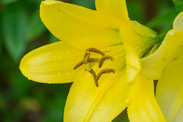 Similar image 21297216